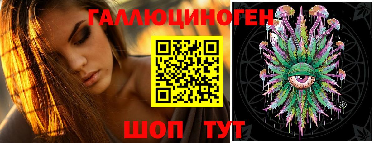 Галлюциногенные грибы Cubensis Саяногорск