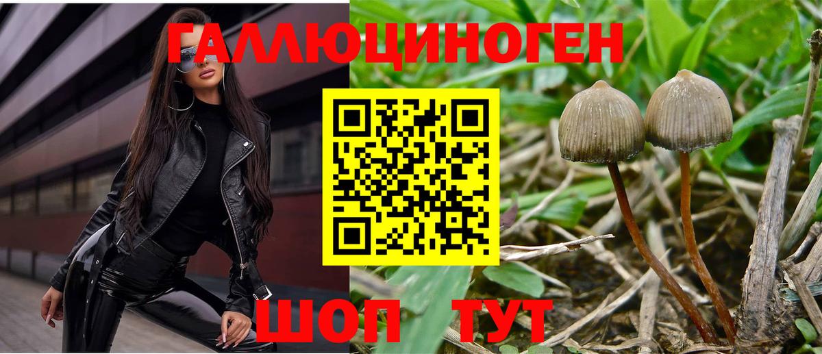 цены   Галлюциногенные грибы MAGIC MUSHROOMS  Вход с VPN  Саяногорск 